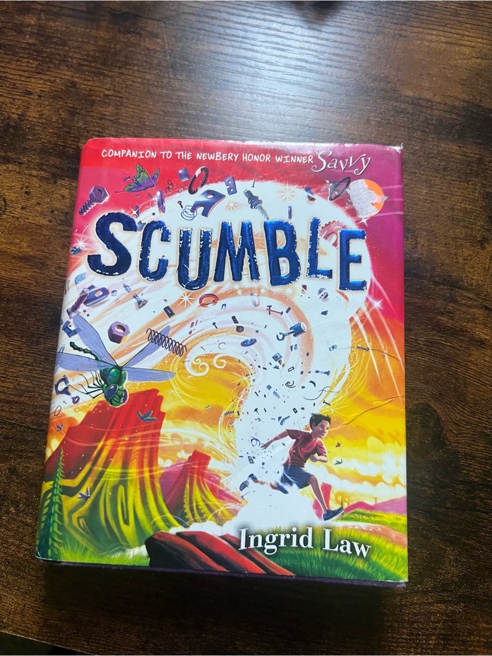 Scumble by Ingrid Law - Colorful Illustrated Hardcover